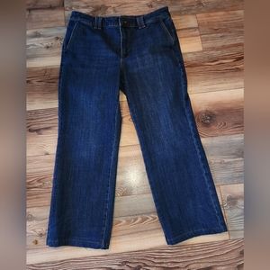 Talbots Dark Blue Flare Jeans